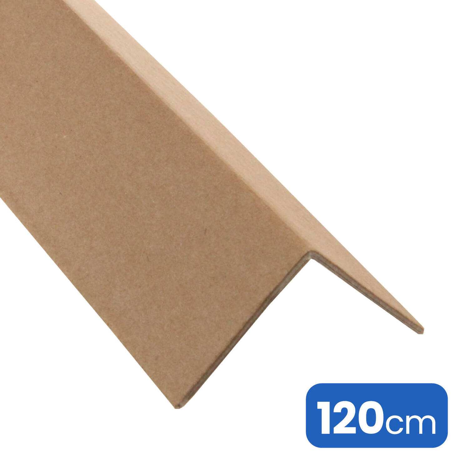 Hoekprofiel ECO 100x100x3mm 120cm
