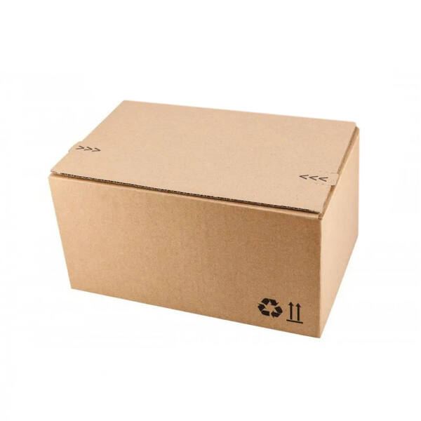 Verzendbox 9 400x260x250mm EG bruin autolock + plakstrip