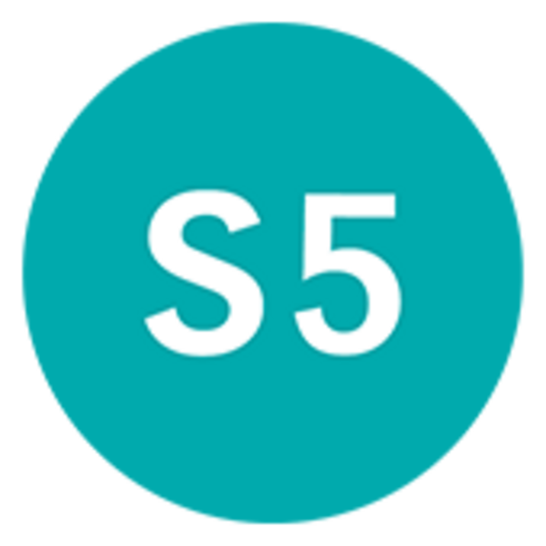 Werklaarzen Sika PU S5 groen maat 45