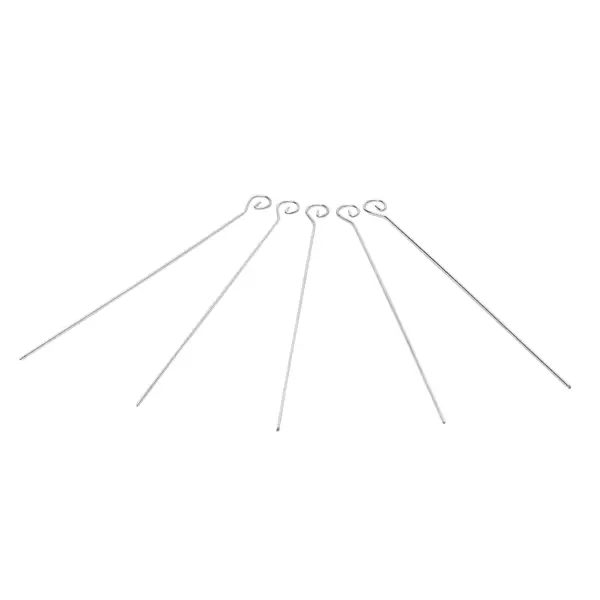 Barbecuepennen metaal rvs 25 cm
