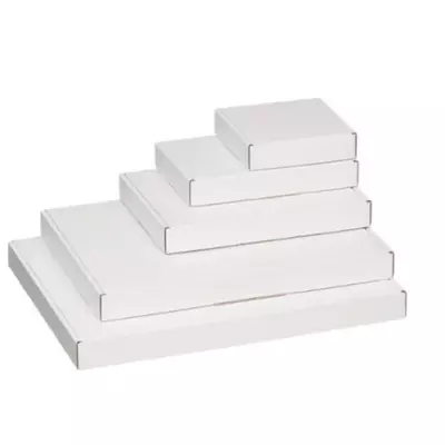 Brievenbusdoos inw. 220x155x28mm wit A5