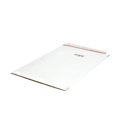 Mailbox 2 A4+ 250x350x28mm EG wit + 2x plakstrip