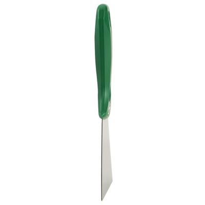 Vikan handschraper RVS blad groen 235x100x22 mm (40092)