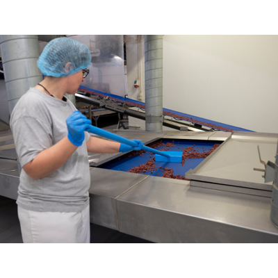 Vikan schraper/duwer blauw 270x5x128 mm (59003)